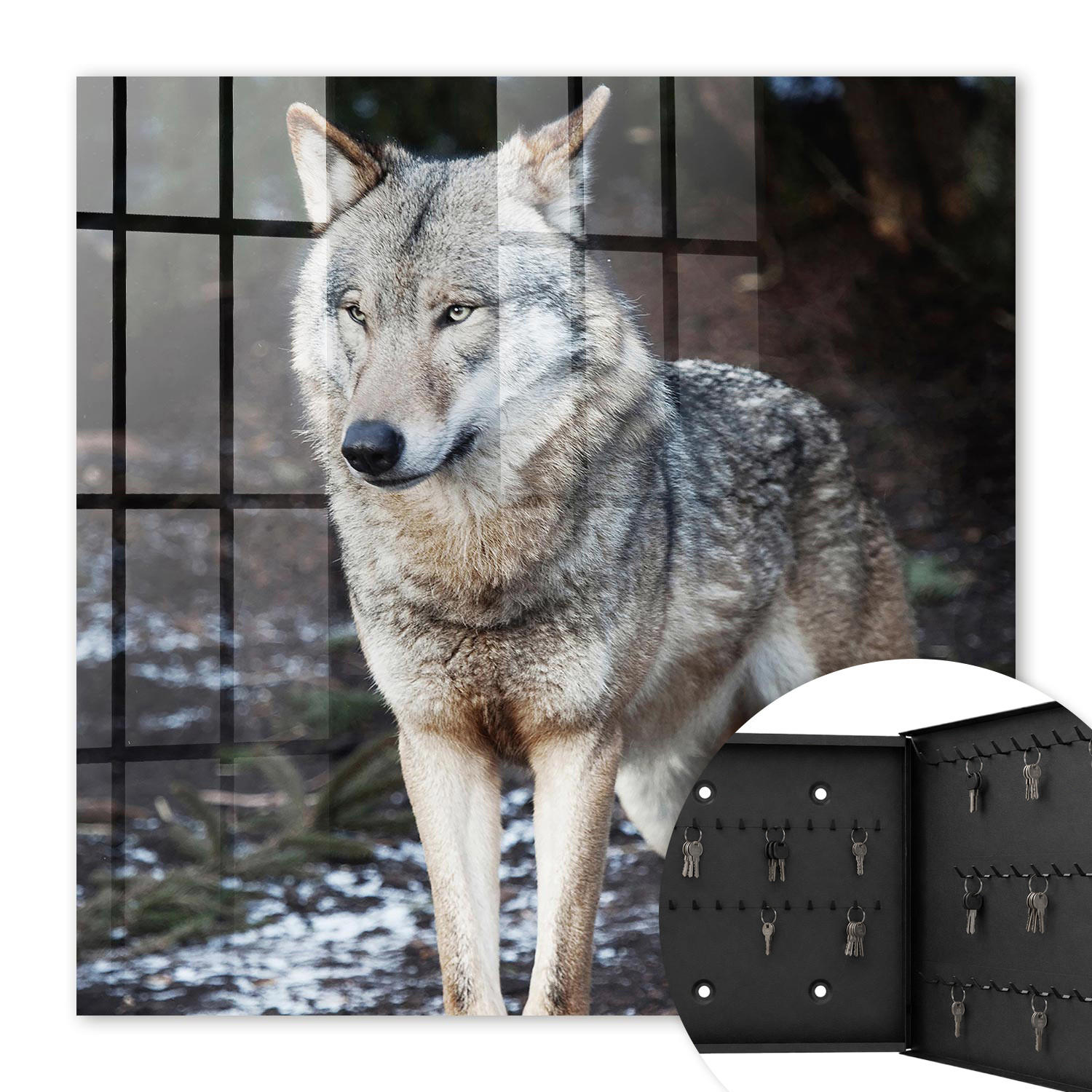 SCHLÜSSELBOX Schwarz 30x30 cm- Türöffnung nach rechts - Wolf im Wald - Grau, Metall (30/30/5cm) - TULUP
