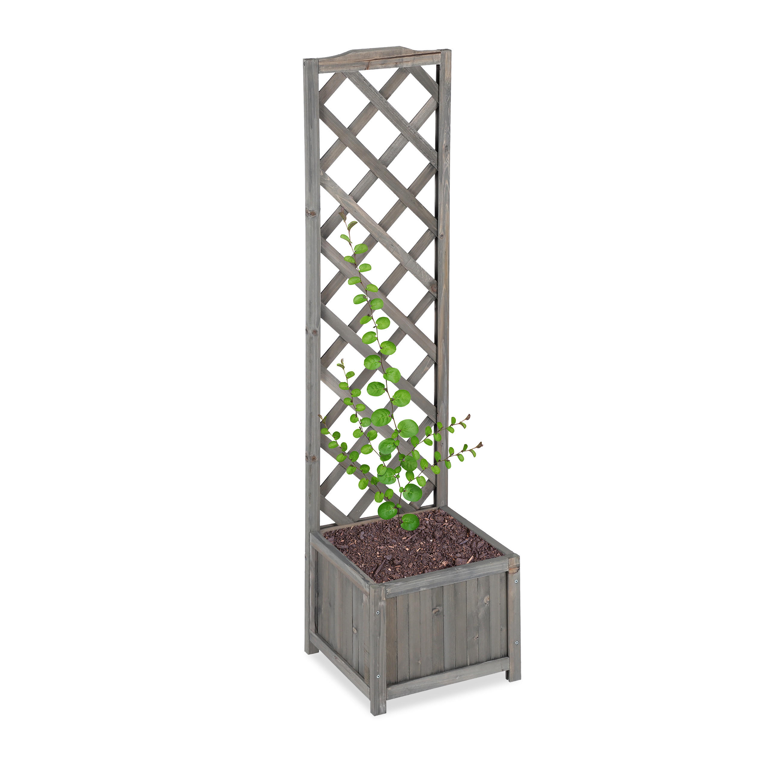RANKKASTEN - Grau, Holz (38/147/38cm) - Relaxdays