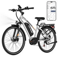 E-BIKE BKU1 Mittelmotor mit 150 km Maximalreichweite - Silberfarben, Metall (80cm) - HITWAY