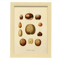 POSTER Nüsse A4 Rahmen Aus Hellem Holz - Beige, Papier (29.7/5cm) - Nacnic