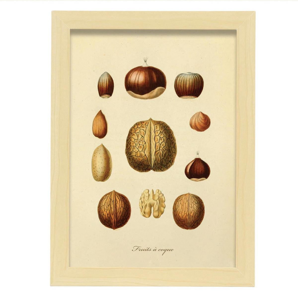POSTER Nüsse A4 Rahmen Aus Hellem Holz - Beige, Papier (29.7/5cm) - Nacnic
