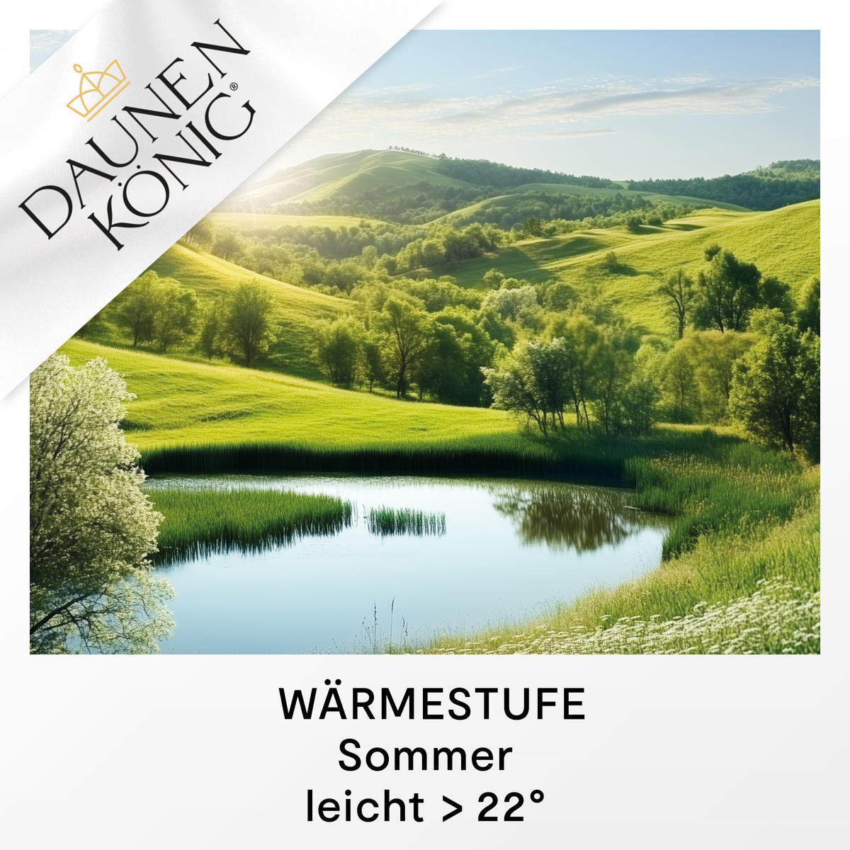 SOMMERBETTDECKE QUEEN Entendaunen leicht - Weiß, Naturmaterialien/Textil (240/220cm) - Daunenkönig