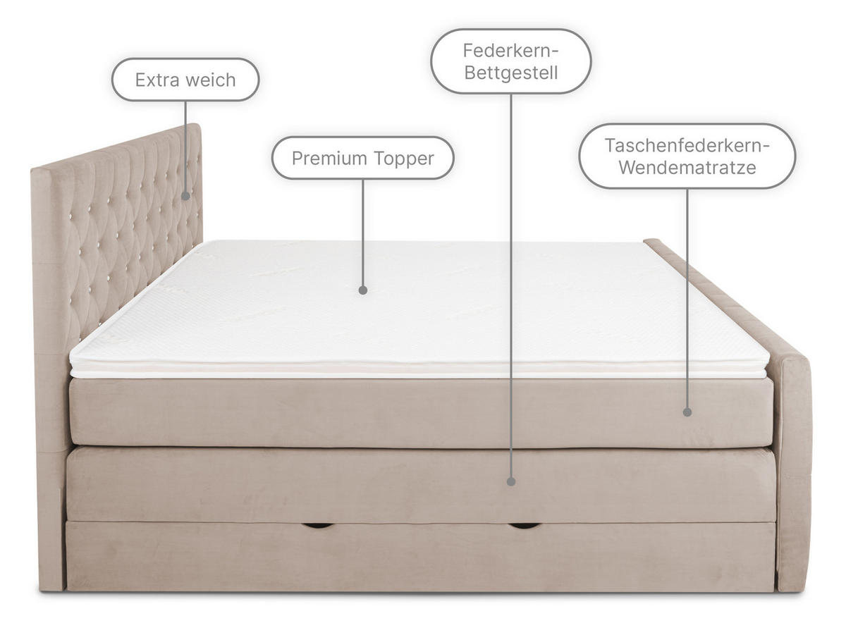BOXSPRINGBETT Sira Beige 160/200 cm H2/H3 Samt - Beige, Textil (160/200cm) - wonello