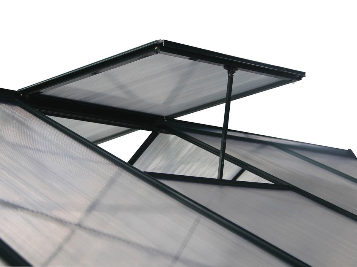 GEWÄCHSHAUS POLYCARBONAT dahlia Grün - Grün, Metall (309/430cm) - Habitat Garten