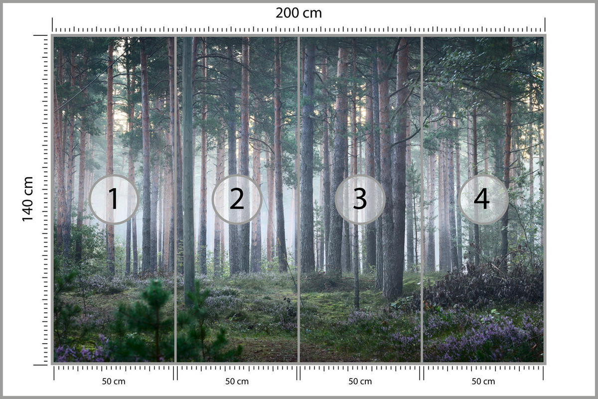 FOTOTAPETE für Wohnzimmer Nebelwald mit Bäumen Moos Grün 200x140 - Grau/Grün, Papier (200/140cm) - Muralo