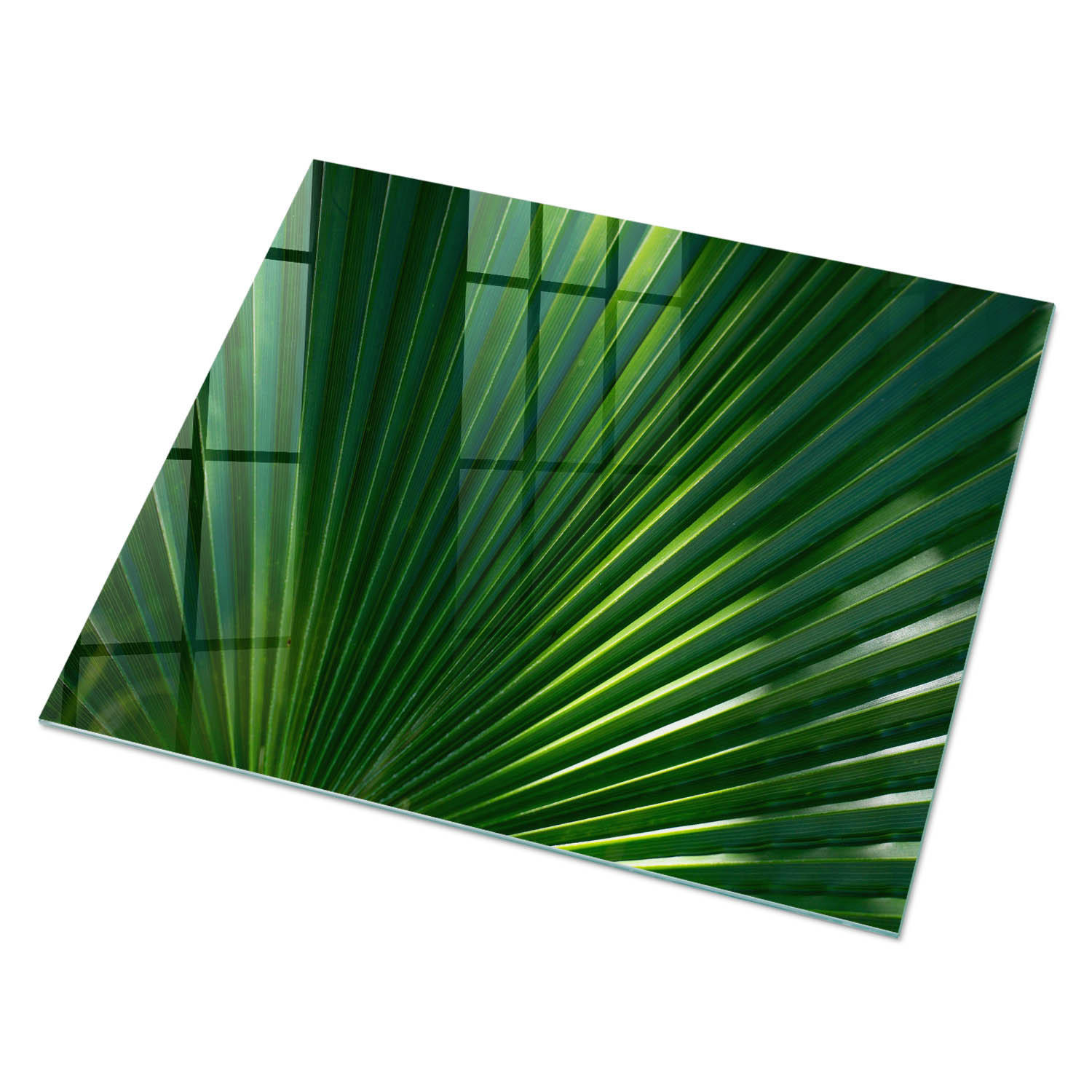 GLASPLATTE 80x60 cm – Pflanzenmotiv - Grün, Glas (0.4/80/60cm) - ArtPrintCave