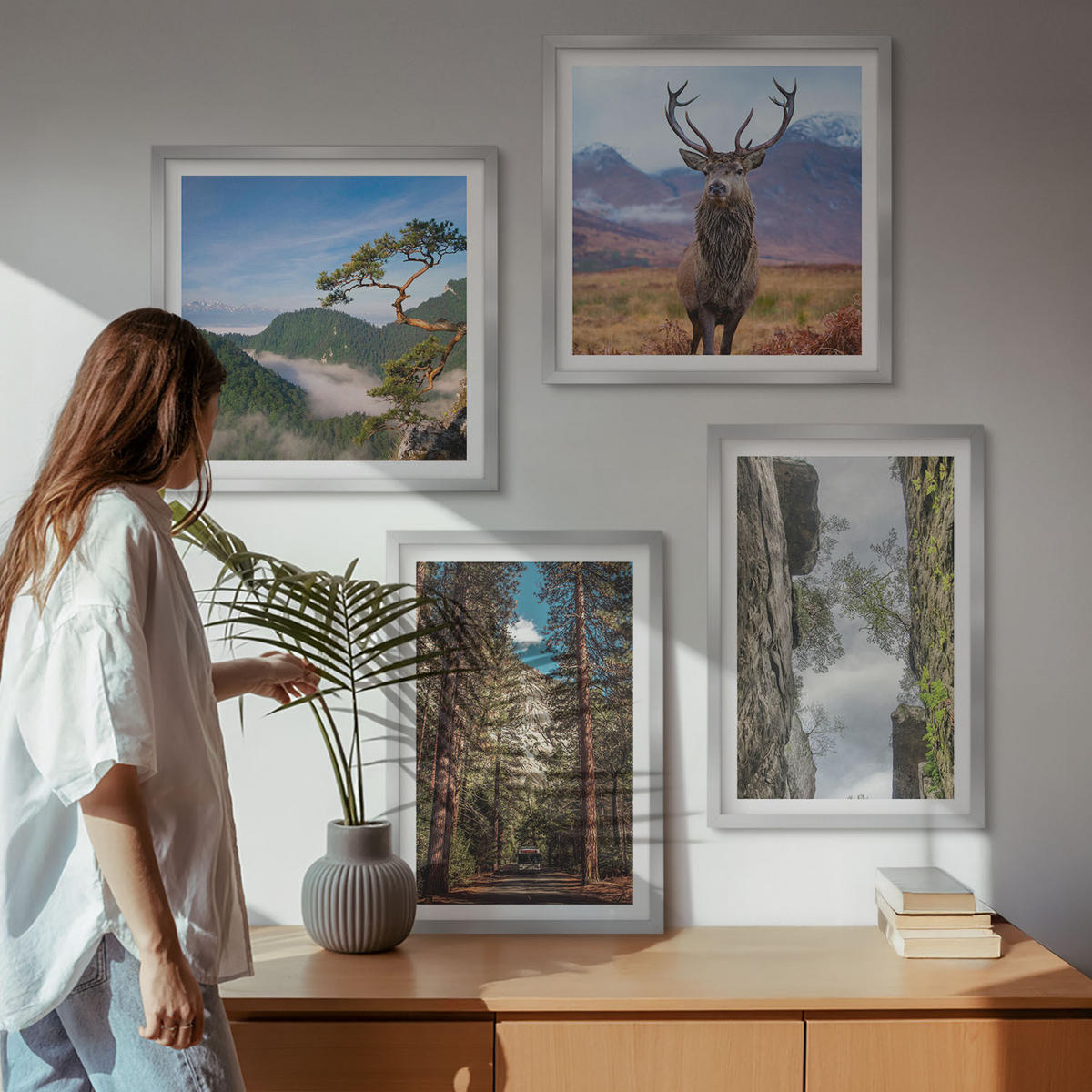 BILDER SET 4er Set - 50x50 cm & 40x60 cm Silberner Rahmen - Straße Wald Berge Hirsch Natur - Silberfarben, Kunststoff (50/50cm) - TULUP