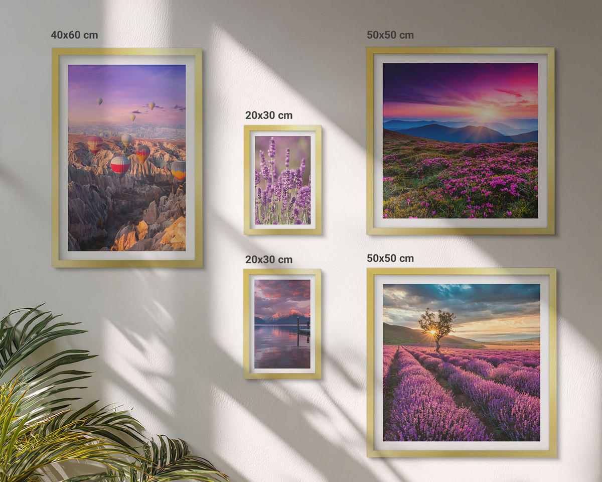 BILDER SET 5er Set - 50x50 cm & 20x30 cm & 40x60 cm Goldrahmen - Sonnenuntergang auf Lavendelfeldern - Goldfarben, Kunststoff (40/60cm) - TULUP