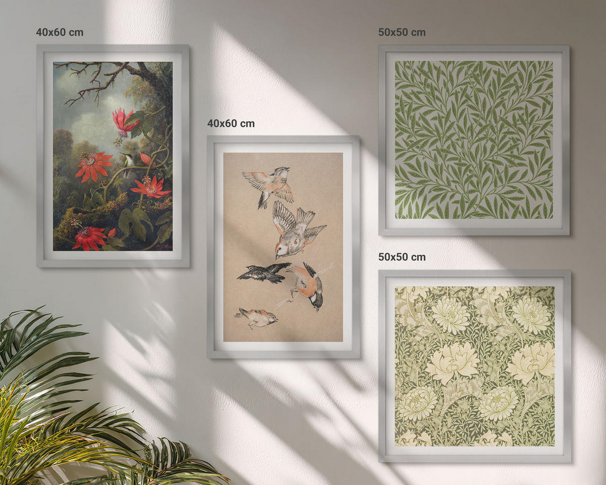BILDER SET 4er Set - 50x50 cm & 40x60 cm Silberner Rahmen - Blumen und Vögel in natürlicher Umgebung - Silberfarben, Kunststoff (50/50cm) - TULUP