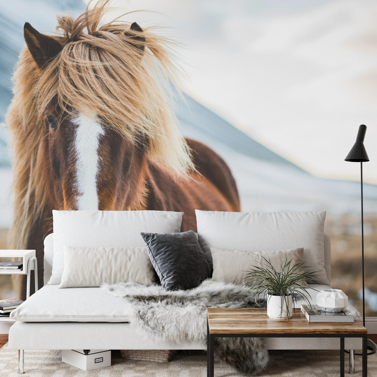 FOTOTAPETE für Schlafzimmer Isländisches Wildpferd Portrait Wiese 200x140 - Beige/Braun, Papier (200/140cm) - Muralo