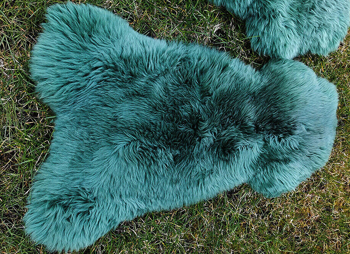FELL Öko Lammfell Schaffell Teal Waldgrün ca. 90 cm - Waldgrün, Fell (50/90cm) - Provellus