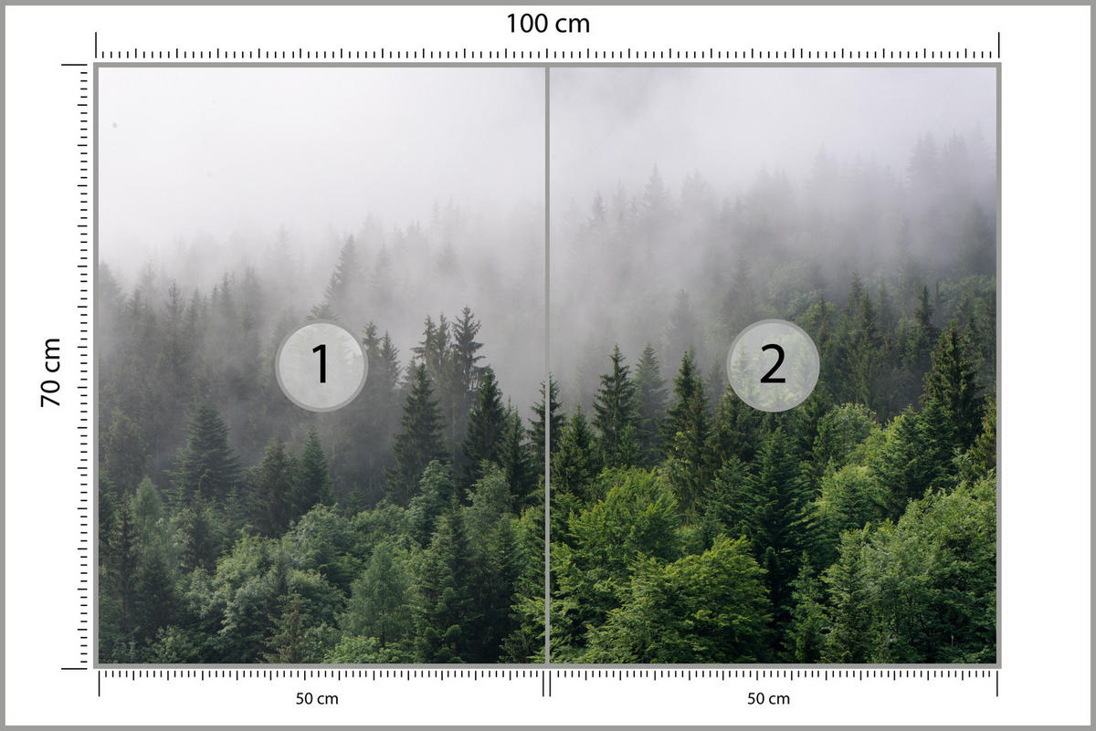 FOTOTAPETE für Wohnzimmer Nadelbäume Nebelwald Grün 100x70 - Grau/Grün, Papier (100/70cm) - Muralo