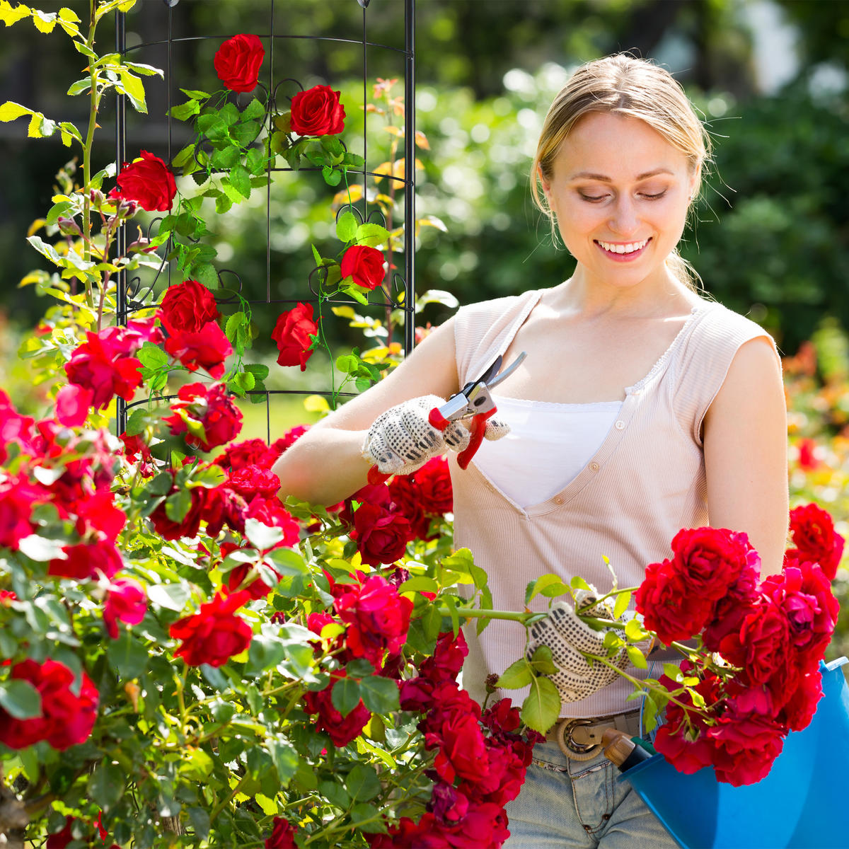 RANKGITTER - Schwarz, Metall (42/180/19.5cm) - Relaxdays