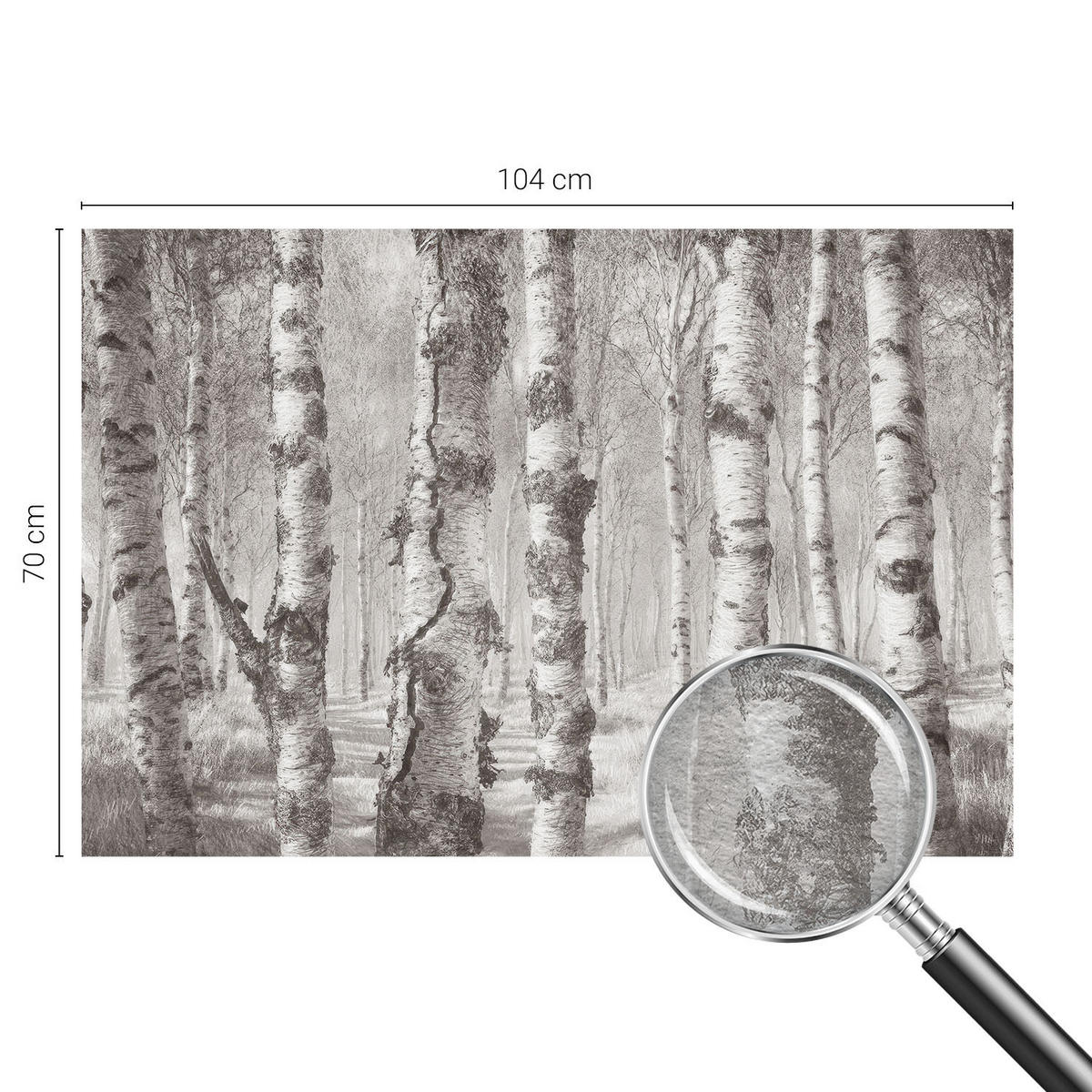 FOTOTAPETE 104x70 cm - Birkenwald - Schwarz, Textil (104/70cm) - Wallfluent