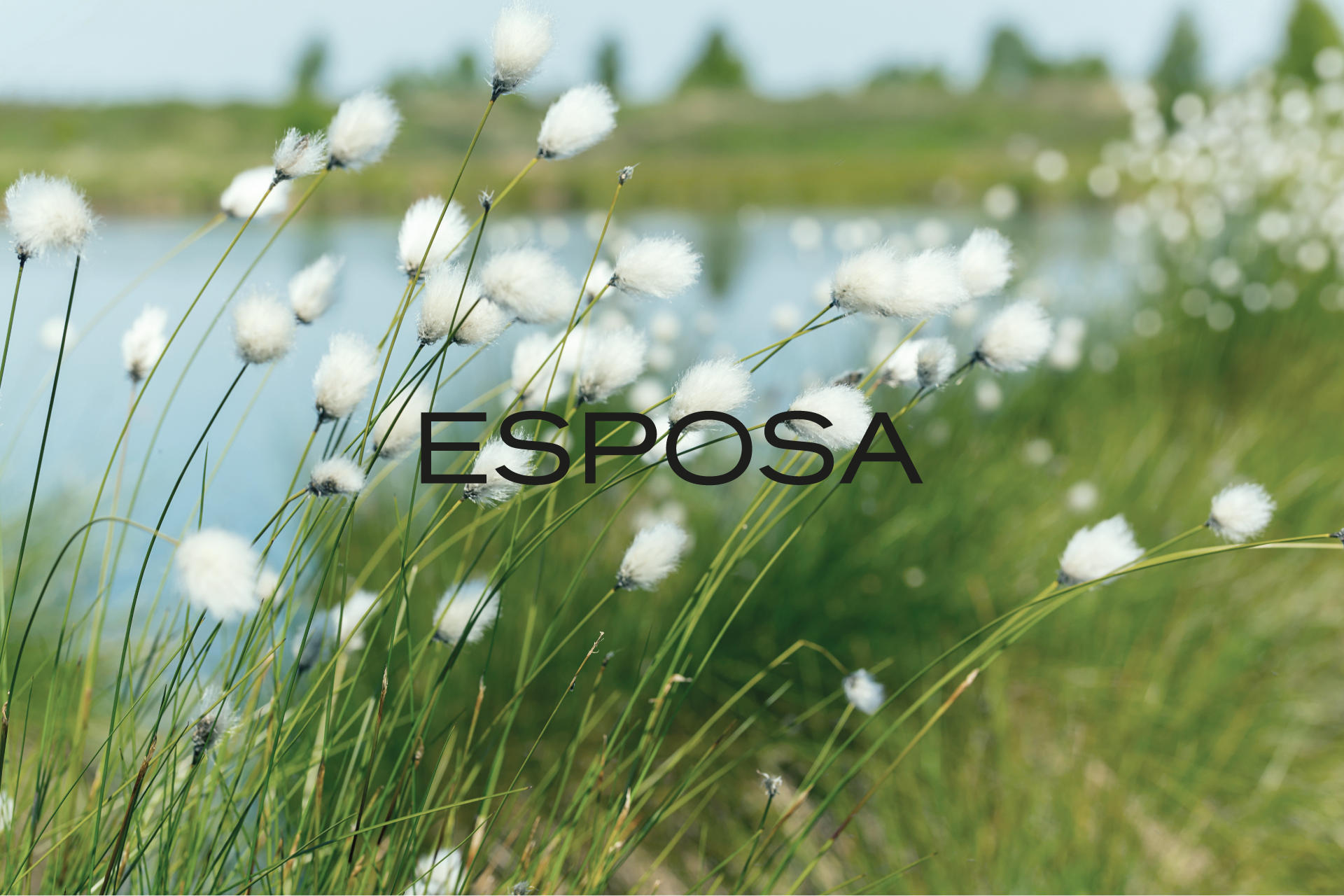 Esposa