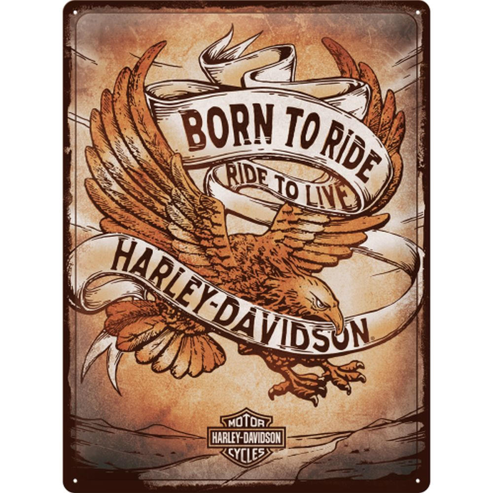 BLECHSCHILD 30/40 cm Harley-Davidson Born to Ride Eagle - Multicolor, Metall (30/40/0.2cm) - Nostalgic-Art