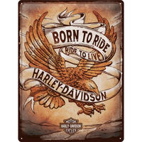 BLECHSCHILD 30/40 cm Harley-Davidson Born to Ride Eagle - Multicolor, Metall (30/40/0.2cm) - Nostalgic-Art