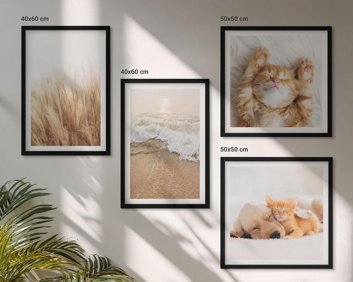 BILDER SET 4er Set - 50x50 cm & 40x60 cm Schwarzer Rahmen - Niedliche Tiere, Katzen, Hunde, Strand - Schwarz, Kunststoff (50/50cm) - TULUP
