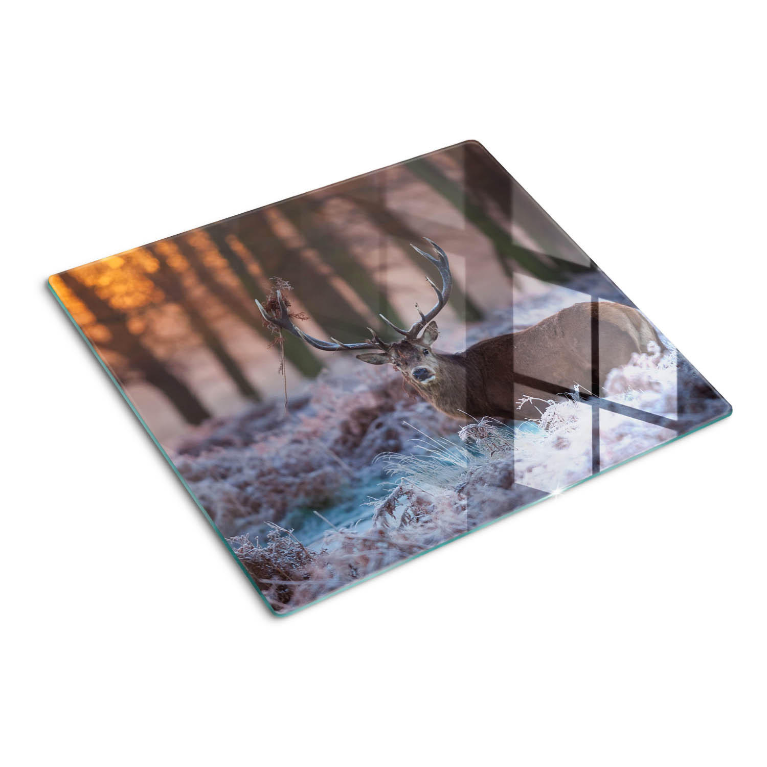 GLASPLATTE 60x52 cm Sonnenaufgang über dem Hirsch - Multicolor, Glas (60/0.4/52cm) - TULUP