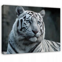 LEINWANDBILD Tiger Tiere Weiß 100x70 cm - Multicolor, Holzwerkstoff (100/70cm) - Wallarena