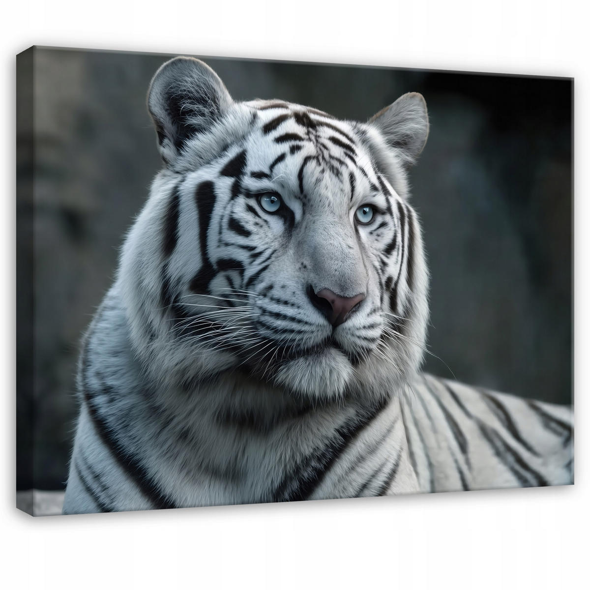 LEINWANDBILD Tiger Tiere Weiß 100x70 cm - Multicolor, Holzwerkstoff (100/70cm) - Wallarena