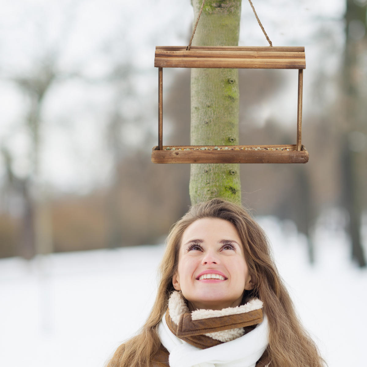 2XVOGELFUTTERHAUS - Hellbraun, Holz (31.5/23.5/8cm) - Relaxdays