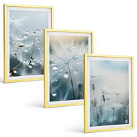 BILDER SET 3er Set - 40x60 cm Goldrahmen - Tautropfen auf Löwenzahn - Goldfarben, Kunststoff (40/60cm) - TULUP