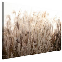 LEINWANDBILD Miskanthus 90x60 cm - Multicolor, Holz (90/60cm) - LUMASOUL