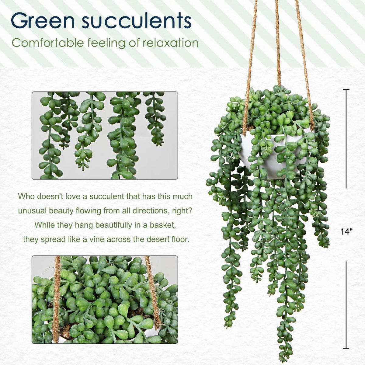 HÄNGEPFLANZE Senecio künstlich in Hängeampel 35.5 cm - Grün, Kunststoff (35cm)