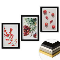 WANDBILDER 3er-Set - 20x30 cm Schwarzer Rahmen - Minimalismus der roten Früchte von Pflanzen - Schwarz, Kunststoff (20/30cm) - ArtPrintCave
