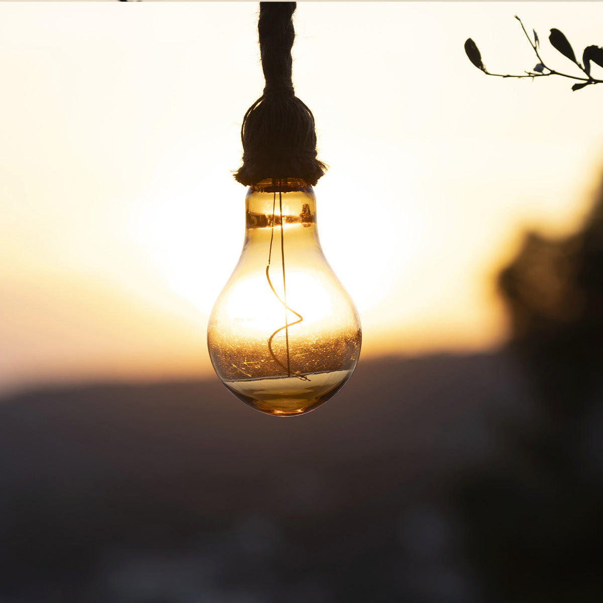 CORDY 2M20 Solarseilaufhängung - Beige, Naturmaterialien (200/10/1cm) - Lumisky