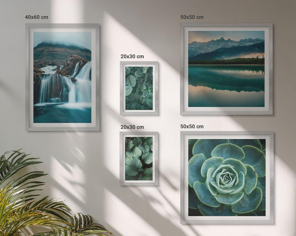 BILDER SET 5er Set - 50x50 cm & 20x30 cm & 40x60 cm Silberner Rahmen - Sukkulenten in Grün und Türkis - Silberfarben, Kunststoff (40/60cm) - TULUP