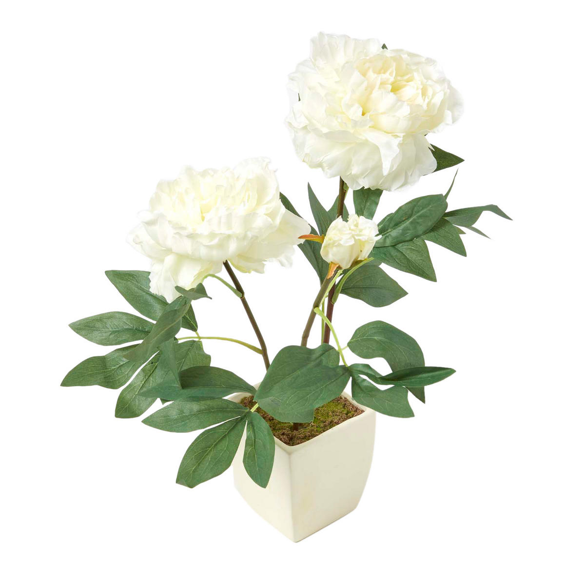 KUNSTBLUME Pfingstrose creme im Deko-Topf, 46 cm - Creme, Kunststoff (46cm) - Homescapes