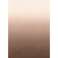 FOTOTAPETE Dip-Dye Muster 200 x 279 cm - Braun, Papier (200/279cm) - ESTAhome