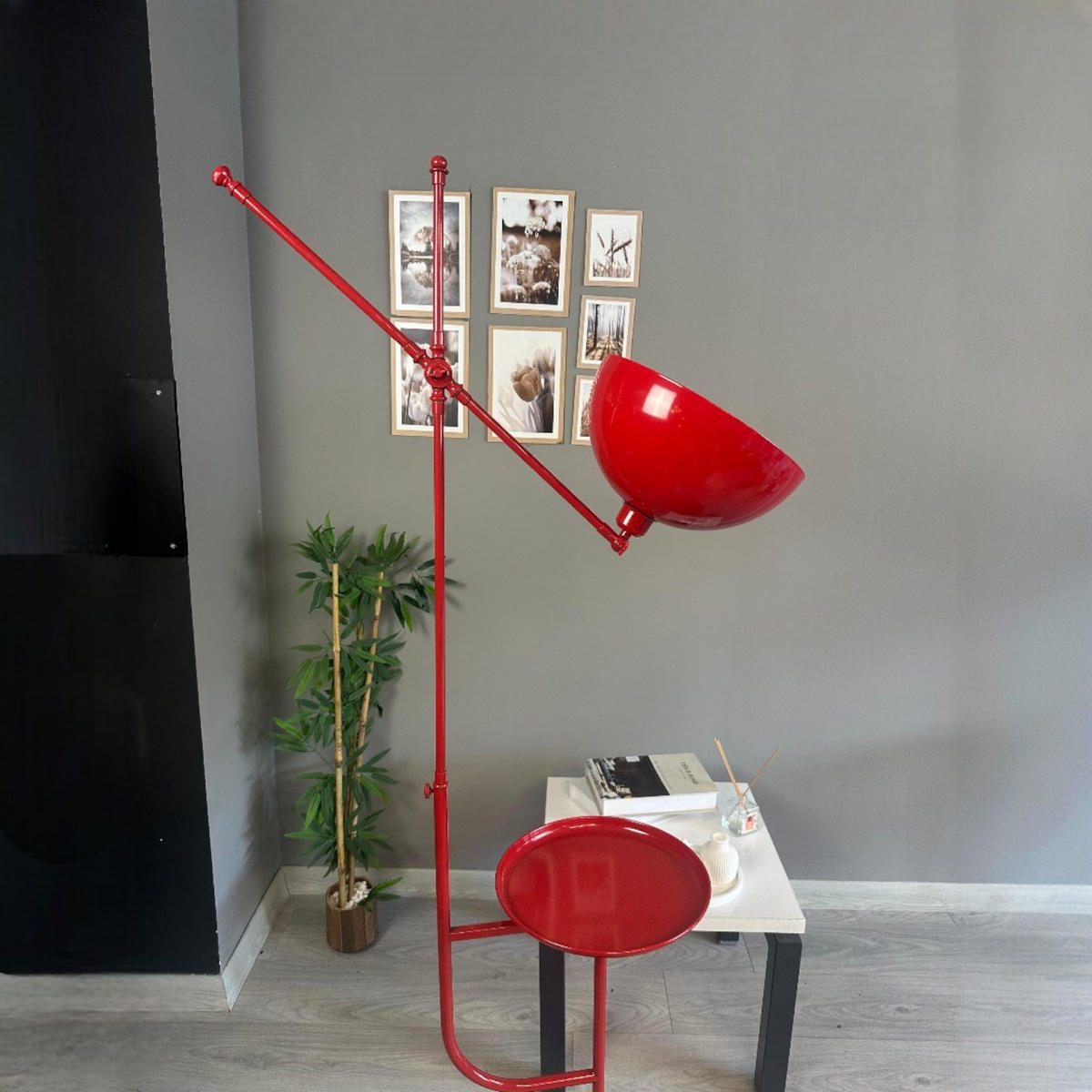 STEHLAMPE Raxon 165 Cm - Rot, Metall (30/30/165cm) - Bamyum
