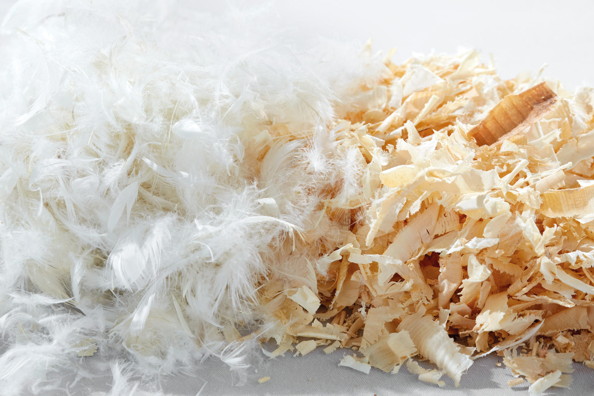 BettdeckenfÃ¼llung von Daune bis Naturfaser