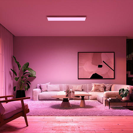 Philips Hue Smart Home Deckenleuchte