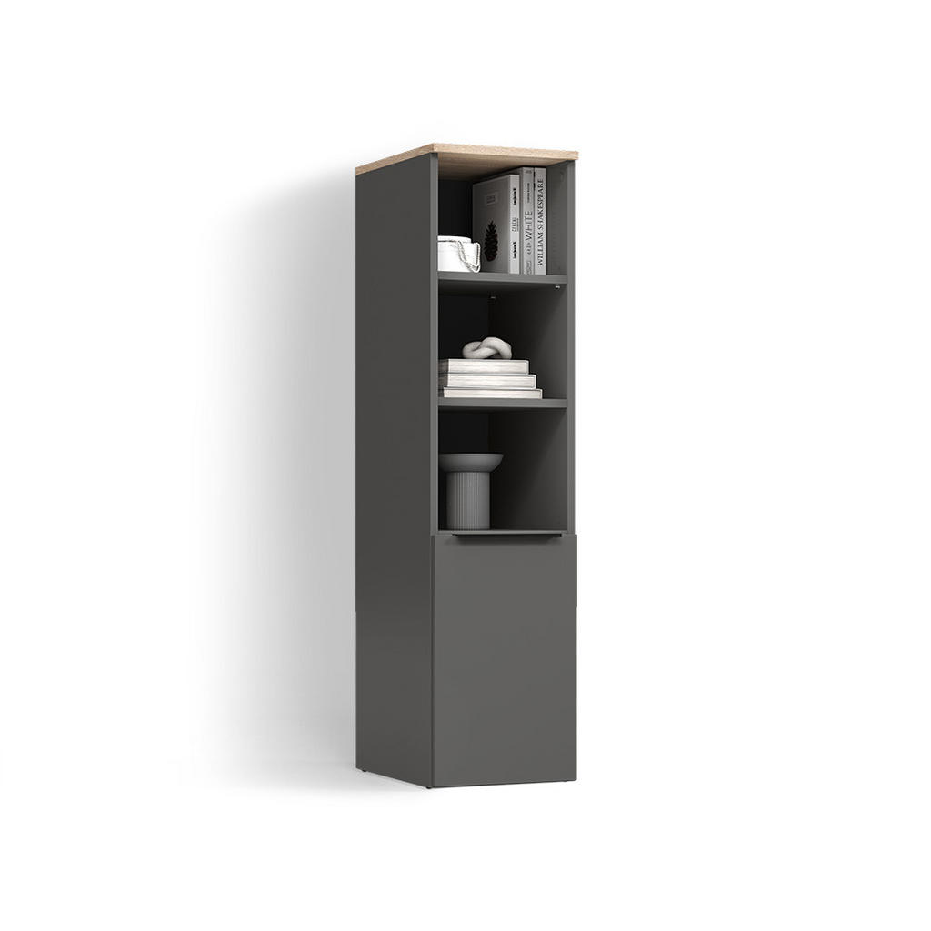 Livinity® UNIVERZÁLNÍ SKŘÍŇ Piave Anthracite/Sonoma s dveřmi