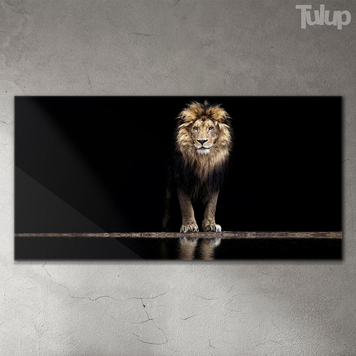 GLASBILD 140x70 cm Wildes Tier - Schwarz, Glas (140/70cm) - TULUP