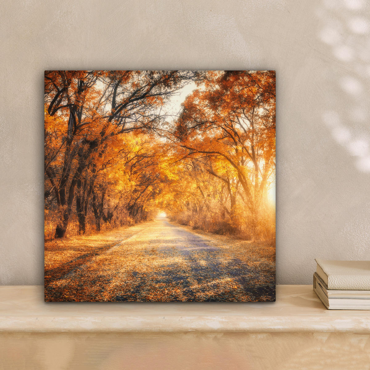 LEINWANDBILD Wald - Herbst - Bäume - Waldweg - Natur 20x20 cm - Bernsteinfarben, Textil (20/20cm) - MuchoWow