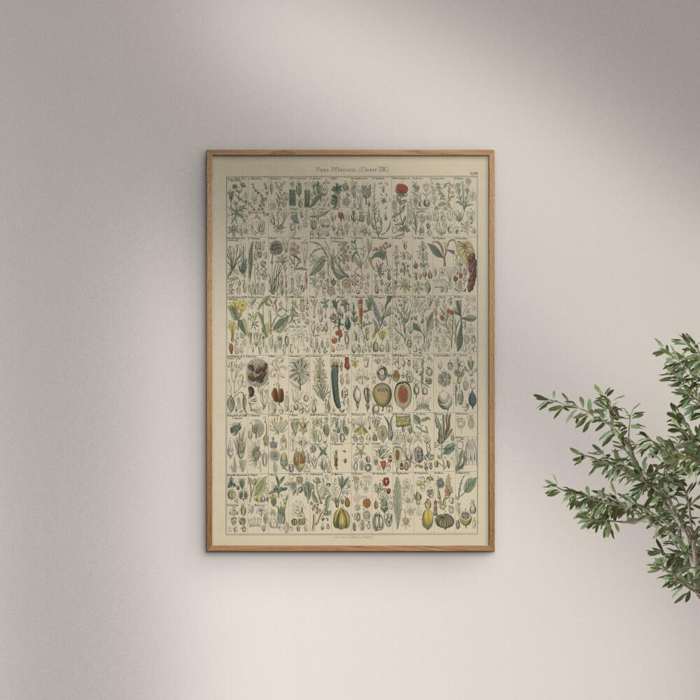 POSTER mit Rahmen Wild Apple - Flora Chart II - Eichefarben/Grün, Holz/Papier (70/100cm) - Poster&Frame
