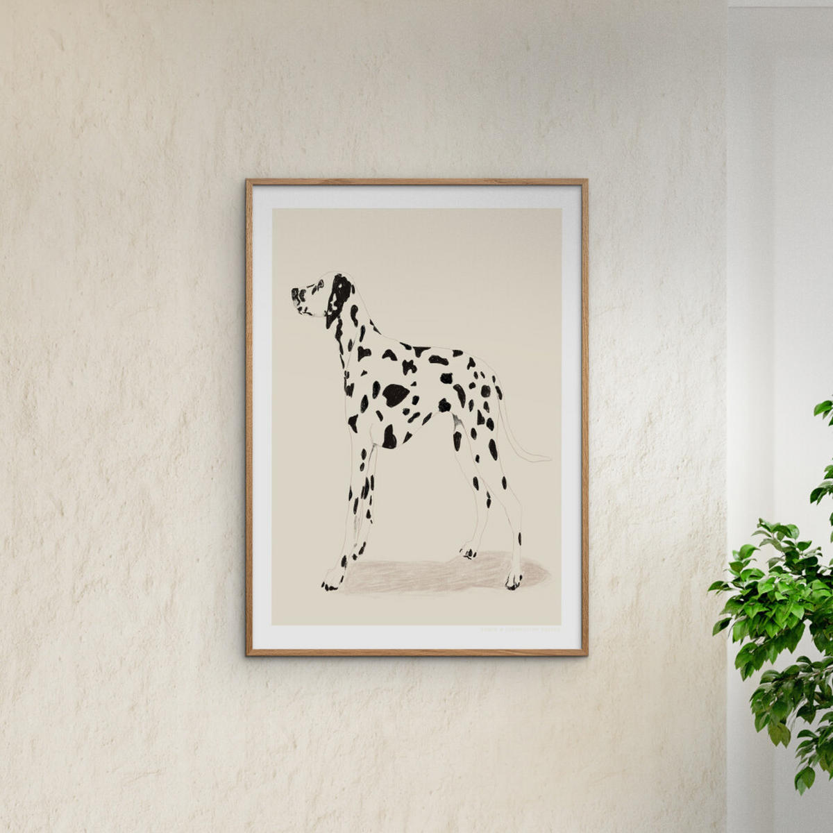 POSTER mit Rahmen Jenny Liz Rome - Dalmation - Eichefarben/Naturfarben, Holz/Papier (30/40cm) - Poster&Frame