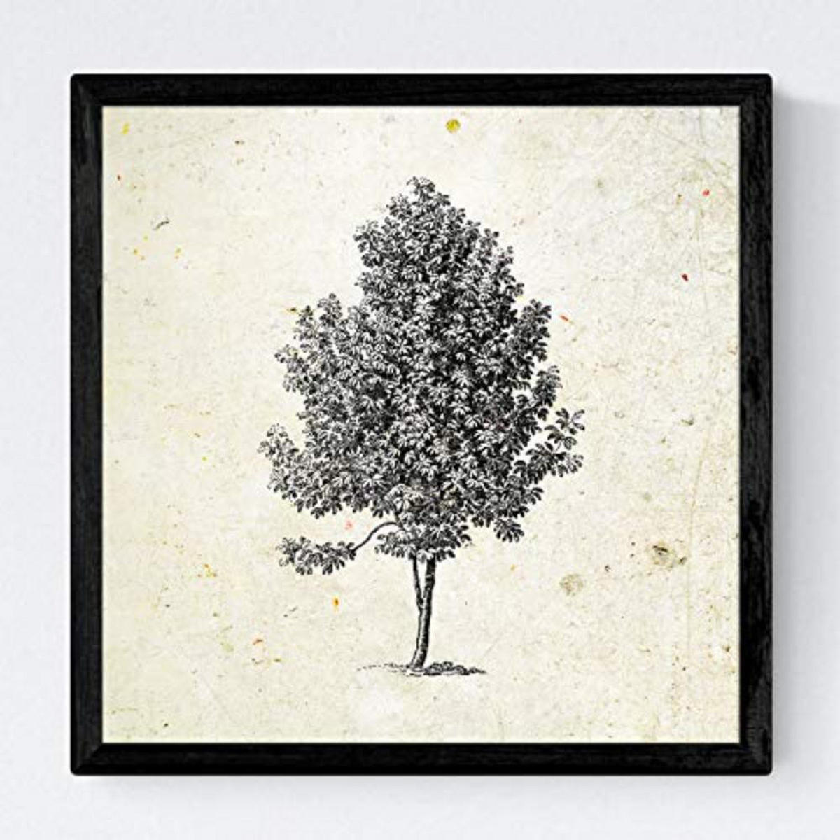 POSTER Set mit 4 Blättern der verschiedene Richtungen Jahrgang Hintergrund 30x30 cm Rahmenlos - Klar, Papier (30/3cm) - Nacnic