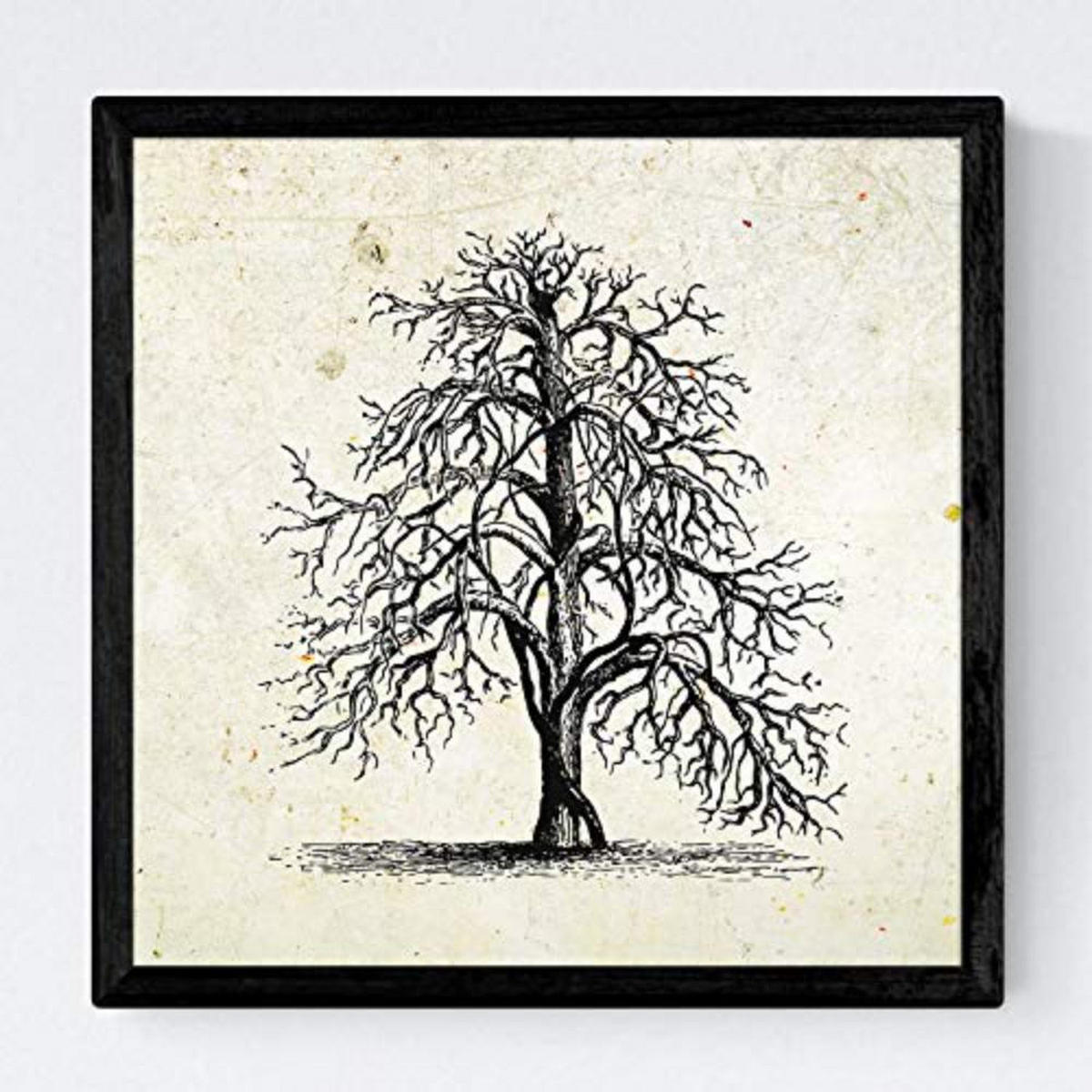 POSTER Set mit 4 Blättern der Obstbäume ohne Jahrgang Hintergrund 20x20cm Rahmenlos - Klar, Papier (20/3cm) - Nacnic