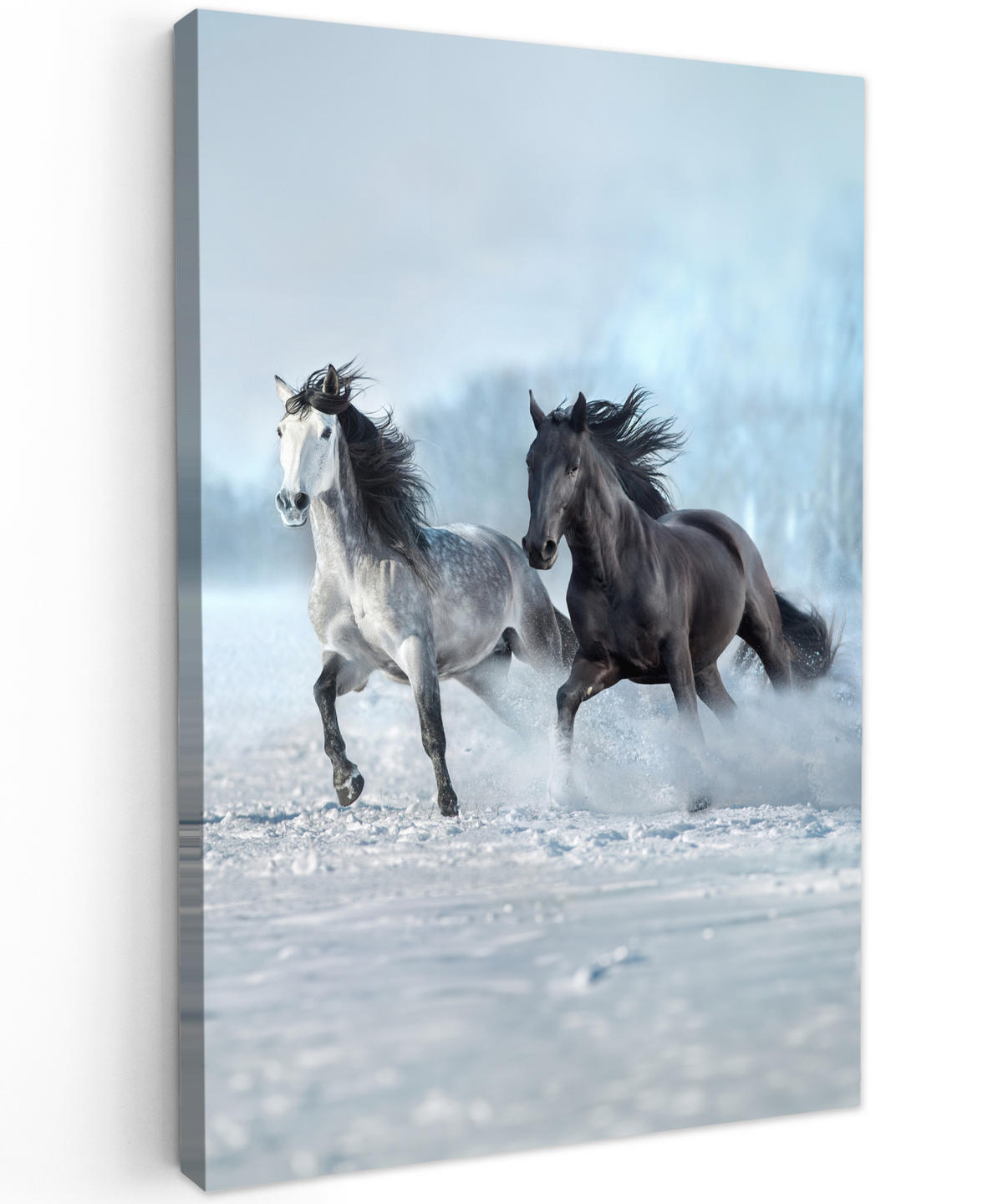 LEINWANDBILD Pferde - Winter - Tiere - Natur - Schnee 80x120 cm - Anthrazit, Textil (80/120cm) - MuchoWow