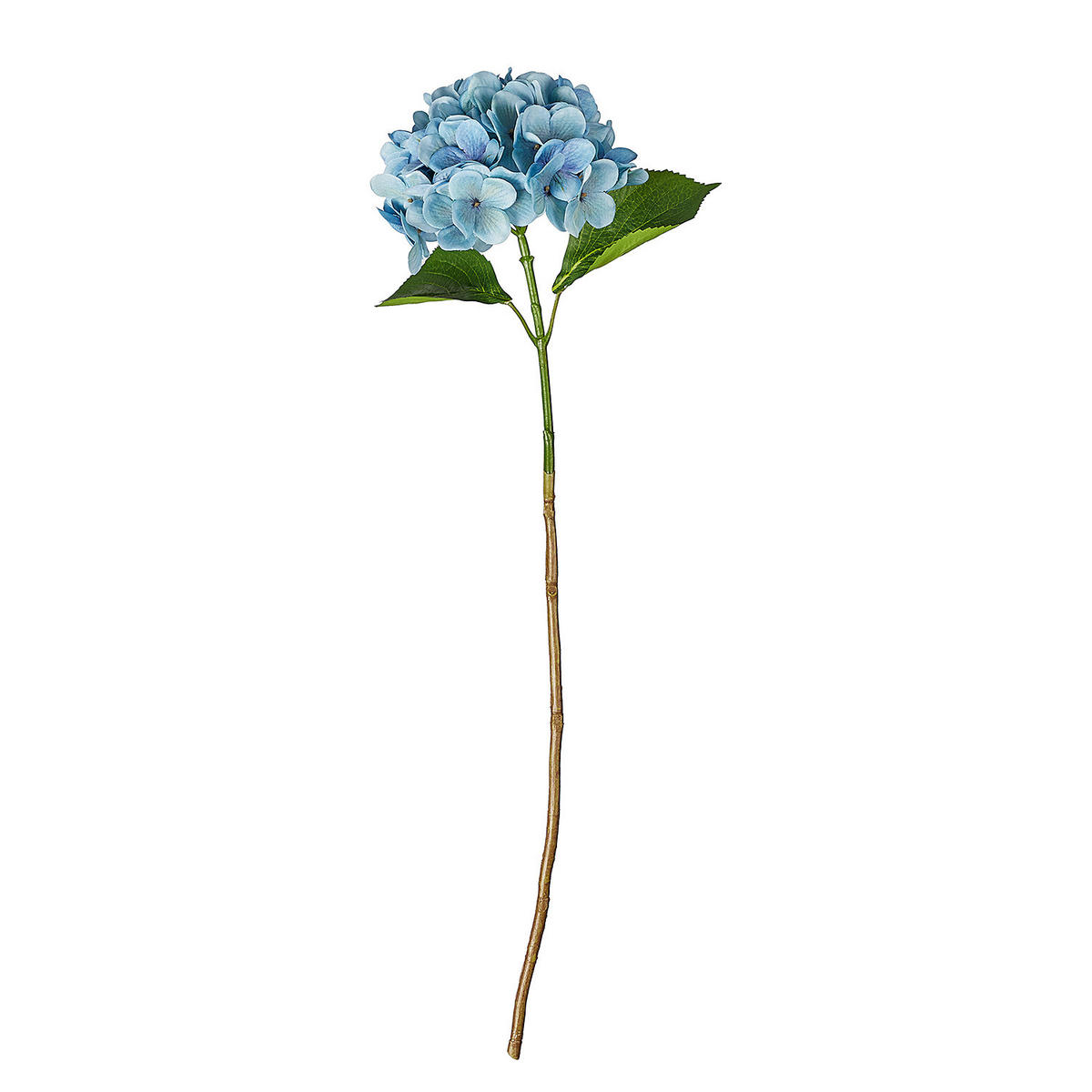 KUNSTBLUME Florista - Hellblau, Kunststoff (67cm) - Butlers
