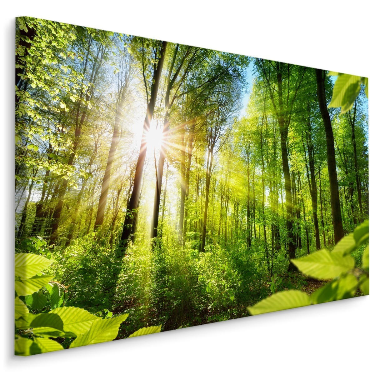 LEINWANDBILD Sonnenaufgang im Wald Natur 3D 120/80 cm - Blau/Beige, Textil (120/80cm) - Muralo