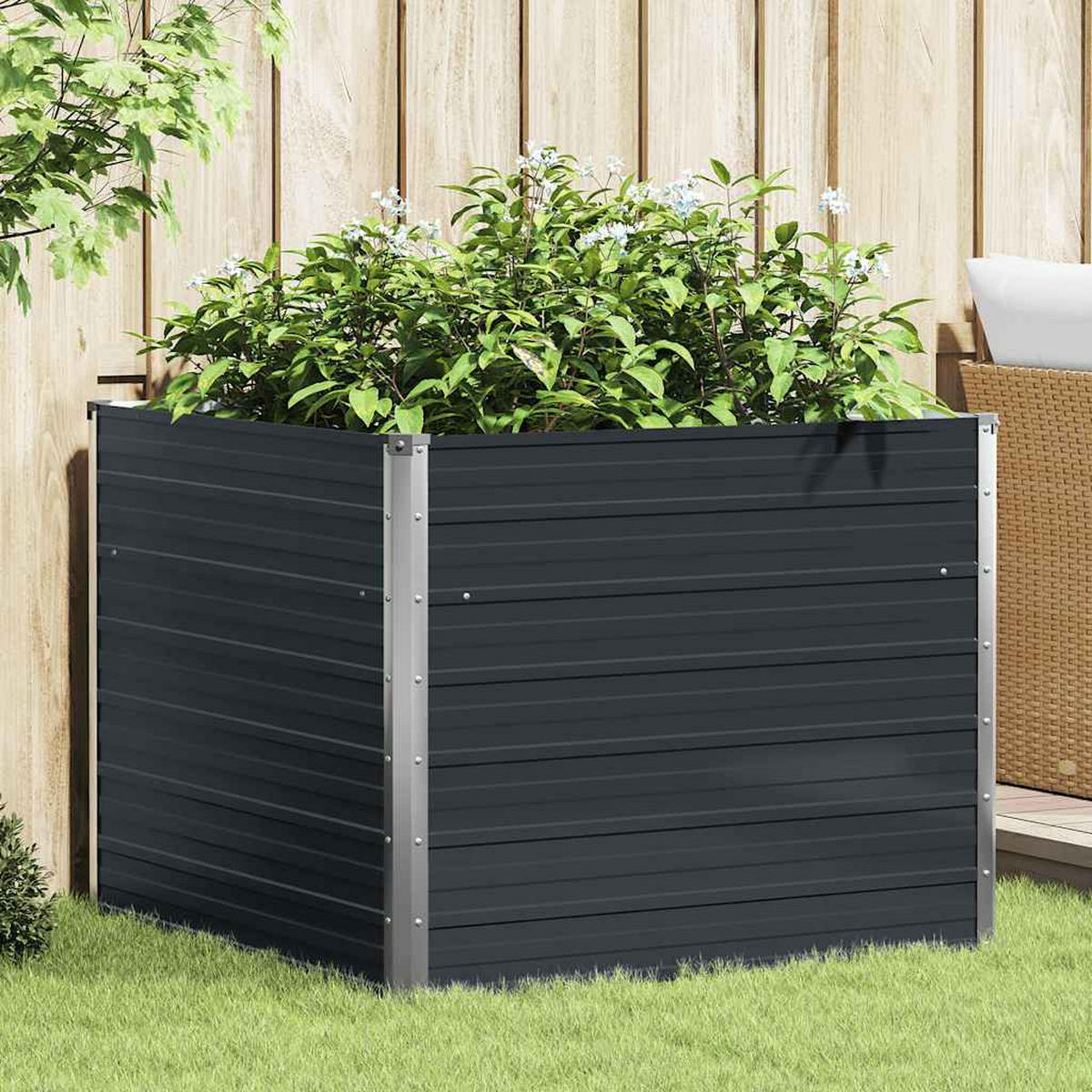 HOCHBEET Anthrazit 100/100/77 Cm Verzinkter Stahl - Anthrazit, Metall (100/77/100cm) - vidaXL