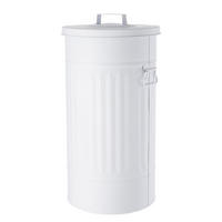 MÜLLTONNE Zinc - Weiß, Metall (34/64/34cm) - BUTLERS