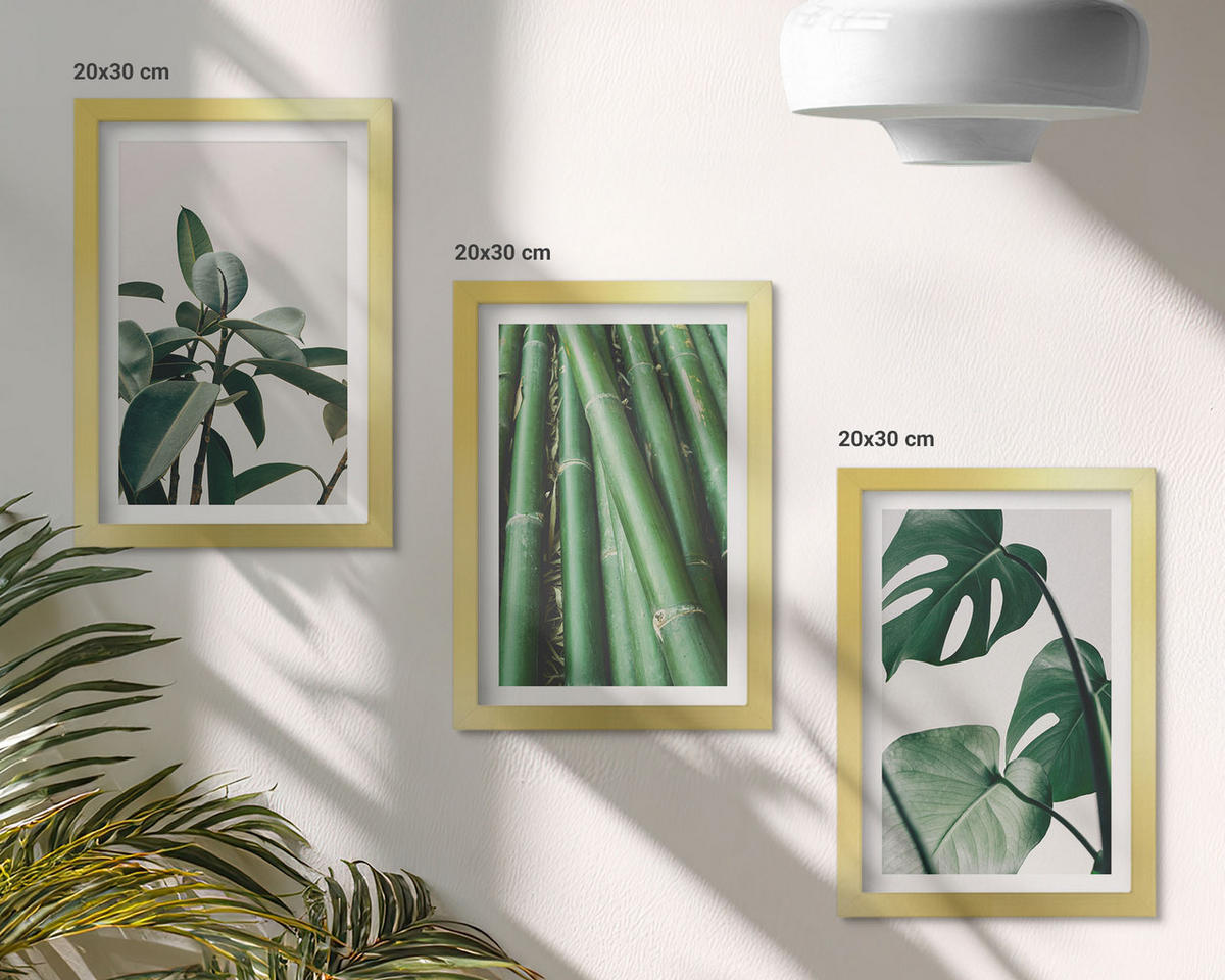 BILDER SET 3er Set - 20x30 cm Goldrahmen - Bambusstängel und Monstera-Blätter - Goldfarben, Kunststoff (20/30cm) - TULUP